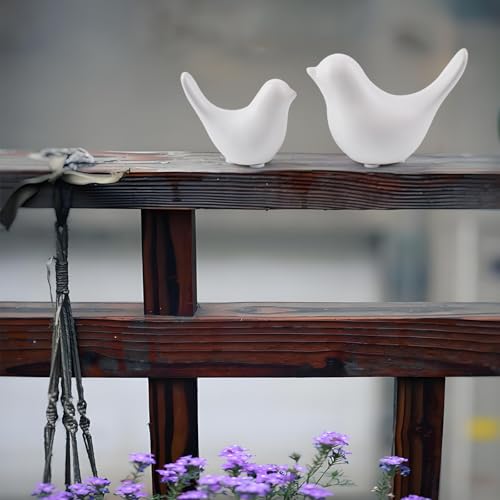 Notakia White Bird Figurines Set of 2 Small Bird Statues Home Decor - color: 2pcs White Birds