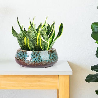 ARTKETTY Succulent Pots, 8 Inch Plant Pots Large Bonsai Pots with Drainage - color: Blue
