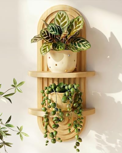 Bamworld Boho Wall Decor Plant Wall Shelf Mid Century Modern Decor Hanging 22in Plant Shelf 2-Tier Wooden Floating Shelves Natural - color: Natural, size: 21.9''-1 Pcs