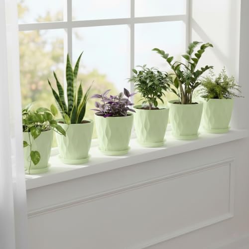 8 Inch Plastic Plant Pots for Plants with Drainage Holes and Saucer, 6 Pack - color: Green 8 Inch