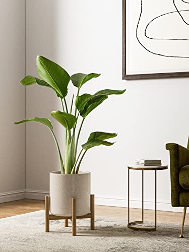 LE TAUCI 10+8+6 Inch Ceramic Pots for Plants, Indoor Planters with Drainage Hole and Plug, Modern Cylinder Flower Pots Set of 3 for Living Room and Bedroom, Glossy, Linen Birch - color: Linen Birch