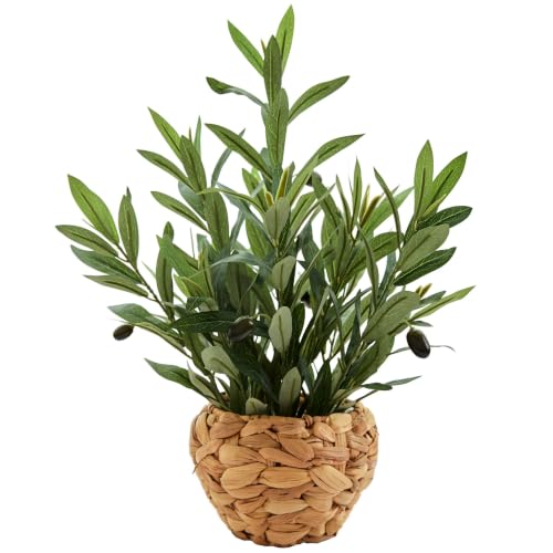AlphaAcc Fake Potted Plant Small Olive Water Hyacinth Mediterranean Decor - color: Green Olive Plant 17.7" H