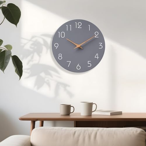 Mosewa Wall Clock 14" Battery Operated Silent Non-Ticking Simple Modern - color: C_gray, size: 14 Inch