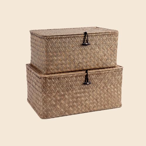 Nonam Wicker Storage Basket with Lid,Seagrass Shelf Basket Set of 2,Coffee - color: Coffee-S+M