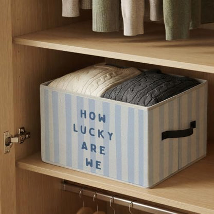 How Lucky Are We Preppy Blue Striped Storage Basket Organizer - color: How Lucky