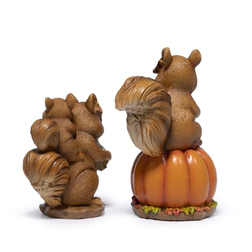 Hodao Fall Squirrel Decor, 2-Piece Resin Thanksgiving Figurine Set - color: Squirrel
