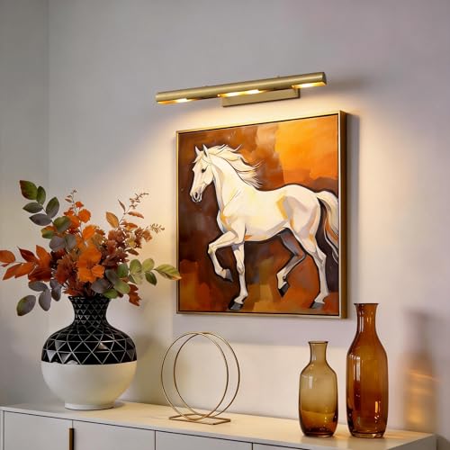 30 inch Hardwired Picture Light for Wall Brass Picture Lighting - color: Brass, size: 30in