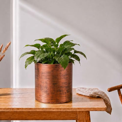 Antique Bronze Metal Plant Pot with Drainage Hole, 7'' Mid Century Modern Small Pot Indoor Outdoor Planters for Succulents, Flowers Gift Window Living Room, Plant Not Include (Antique Bronze) - color: Antique Bronze