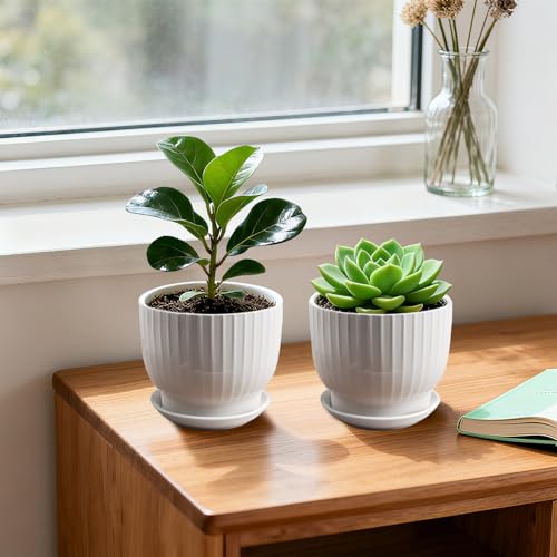 5.5 Inch Ceramic Plant Pot,White, 4 Pack - color: Pure White, size: 5.5 Inch(4 PCS)