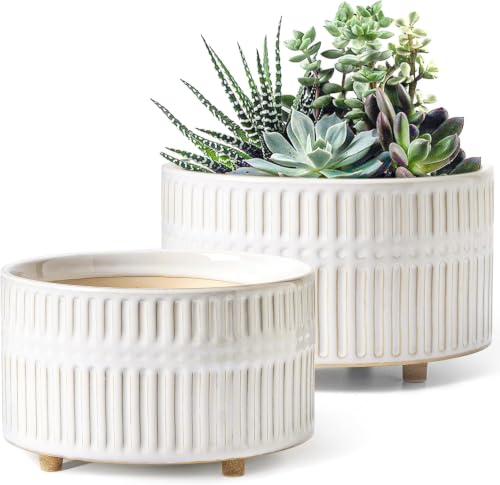 LE TAUCI Succulent Planters, 6.5+8 Inch Ceramic Indoor Plant Pot with Drainage Hole, Shallow Round Succulent Pots, Set of 2, Reactive Glaze White - color: Reactive Glaze White