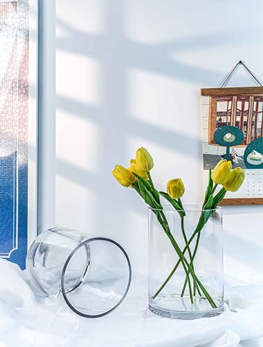 CYS EXCEL Cylinder Clear Glass Vase (H:8" D:6") | Multiple Size Choices Glass Flower Vase Centerpieces | Hurricane Floating Candle Holder Vase - size: H-8" D-6"