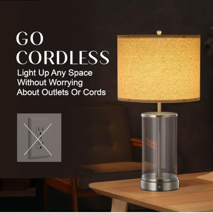 O’Bright Luma - Battery Powered Table Lamp (Brushed Nickel, 24-inch) - color: Brushed Nickel, size: 24-inch