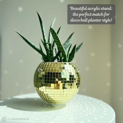 SCANDINORDICA Disco Ball Planter, Value Package, 6-inch Gold - size: 6" Gold