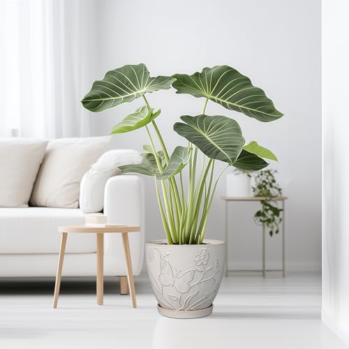 MPotTo 10 Inch Plant Pot, Ceramic Planter Pot, White - color: Butterflies and Flowers White