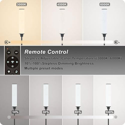 Nukanu Floor Lamp with Remote Control,Black,Linen lampshade - color: black+Beige linen