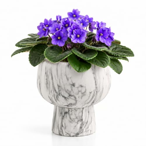 Self Watering Pots for Indoor Plants, 6 Inch Ceramic African Violet Pot - color: Marble 6″