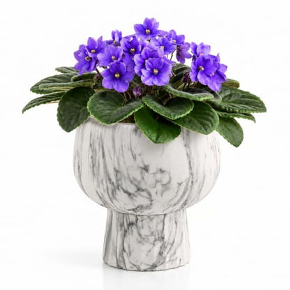 Self Watering Pots for Indoor Plants, 6 Inch Ceramic African Violet Pot - color: Marble 6″