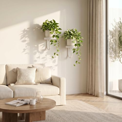 2 Pcs Wall Plant Holder Wall Mounted Hanging Planters for Indoor Plants Planters Shelf Metal Floating Stand for Living Room Bathroom Window(White)