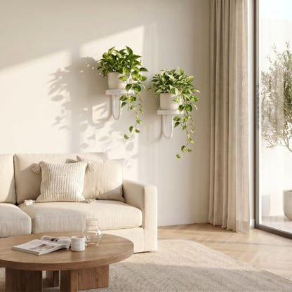 2 Pcs Wall Plant Holder Wall Mounted Hanging Planters for Indoor Plants Planters Shelf Metal Floating Stand for Living Room Bathroom Window(White)