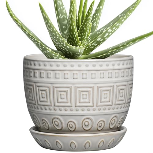 G EPGardening Ceramic Pots for Plants, 5 Inch Plant Pot, White - color: Palindrome White