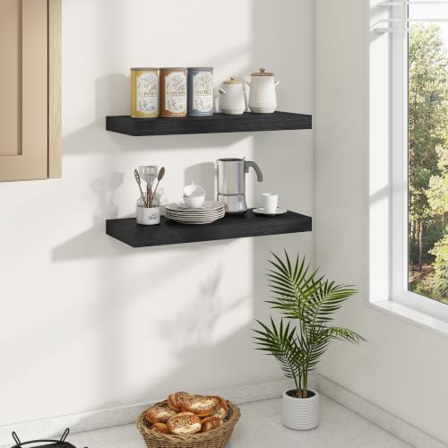 Dreamland 22.5 Inches Wall Mounted Wood Floating Shelves, Black, 2 Pack - color: Black, size: 22.5in