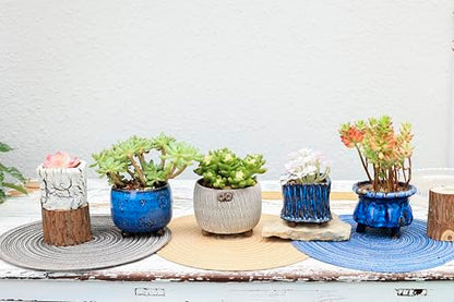 Ceramic Planter Pots w/Drainage, 3 Inch Set of 2, Indoor Outdoor Home Patio Garden Plants Flower Succulent, Crackle-Texture Square - style: Crackle-Texture Square-3" (2 pack)