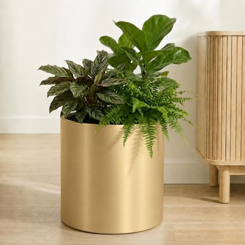 10 Inch Gold Metal Plant Pot with Drainage Hole, Indoor Outdoor - color: 10 Inch Golden
