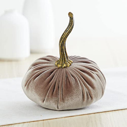 Your Heart's Content Velvet Pumpkin Set of 4 (Sm Gray Taupe Ivory Black) - color: Sm Gray Taupe Ivory Black
