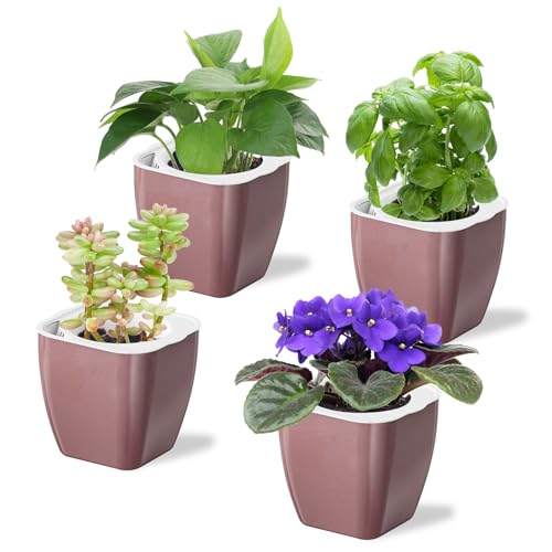 Oliz 4 Pack Self Watering Pots 4-inch Decorative Flower Planters for Indoor Plants Modern Square planters for Small Plants Window Sill Planters for Succulents, African Violets, Herbs(Rose Gold) - color: Rose Gold-4 Pack