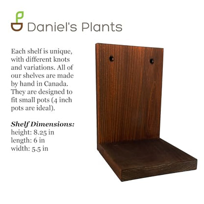 Daniel's Plants 3 Pack Midcentury Modern L Shaped Floating Shelves | Wall Mounted Plant Shelf Kit | Solid Wooden Shelf | 3 Shelves (Woodland Brown) - color: Woodland Brown