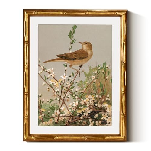 InSimSea Gold Bamboo Framed Wall Art, Spring Bird on Branch Prints, 11x14In - color: Branch Spring Bird