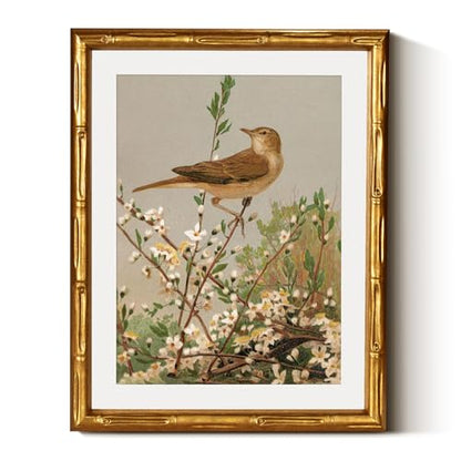 InSimSea Gold Bamboo Framed Wall Art, Spring Bird on Branch Prints, 11x14In - color: Branch Spring Bird