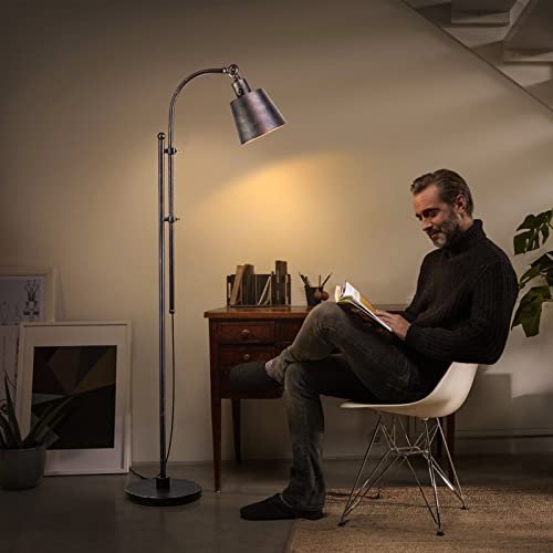 LALISU Industrial Floor Lamps Rustic Farmhouse Floor Lamps for Living Rooms - color: Rustic Black