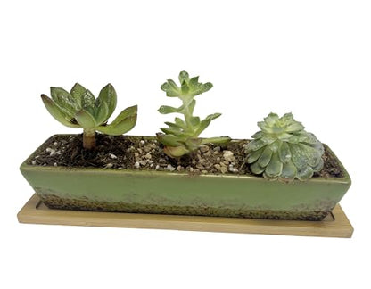 9.8inch Green Long Rectangle Ceramic Succulent Planter Pot,one Set of Mini Flower Plant Container with Bamboo Saucers. Product Size:9.8x2.35x1.77inch,not Include The Plant. - color: Green