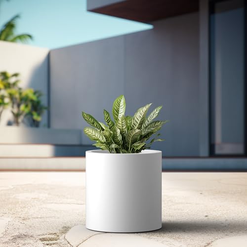 Kante Large Round Cylinder White Concrete Planter 15.8" Tall, Outdoor - color: Pure White, size: 15.7" Dia