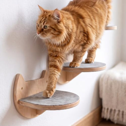 Cat Wall Shelves, Modern Cat Wall Furniture for Indoor Cats - color: Natural Wood, 3 Steps + Perch