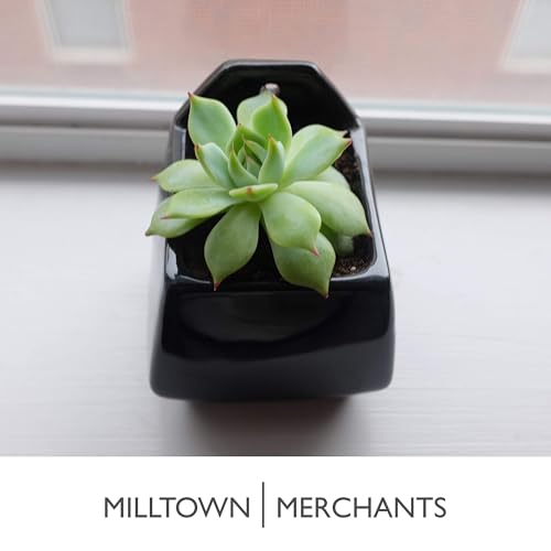 Succulent Wall Planters - Wall Vases - Black Ceramic Wall Mounted Planters - Succulent Plant Pots - Hanging Vases for Living Wall (2 Pack/Contemporary/Black) - color: Small Black Contemporary