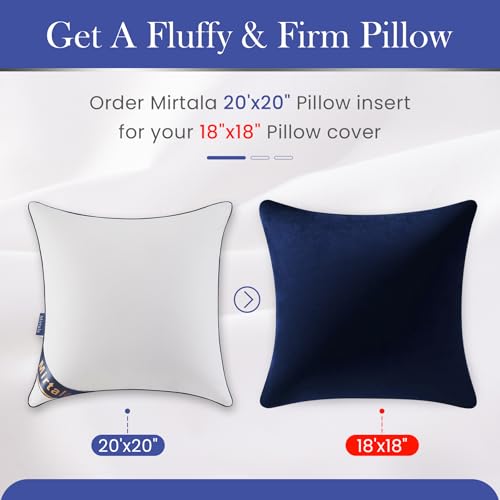 Mirtala 20"x20" Pillow Inserts Set of 2 with 100% Cotton Cover Decorative Square Throw 20" Pillows Living Room, Sofa, Couch, and Bed-White - size: 20 x 20 Inch