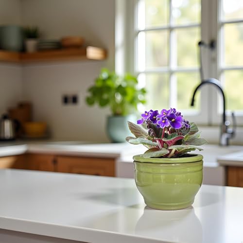 African Violet Pots Self Watering Green 6 inch - color: Green