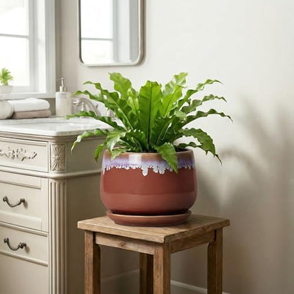 9 Inch Ceramic Planter, Indoor Planters with Drainage, Red-Purple - size: 9 Inch, style: Red-purple