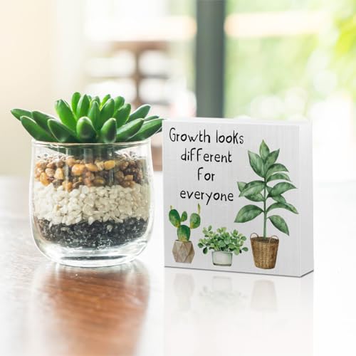 Inspirational Growth Mindset Wooden Box Sign, Motivational Gifts - color: white 0361