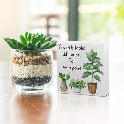 Inspirational Growth Mindset Wooden Box Sign, Motivational Gifts - color: white 0361