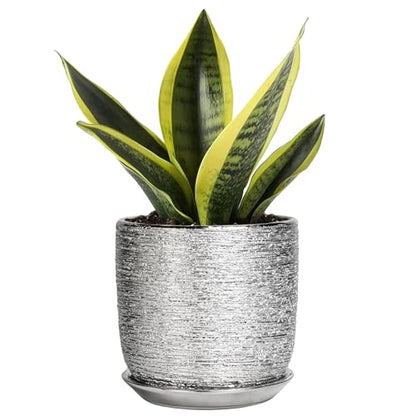 Ceramic Plant Pot 5 Inch, Indoor Planter with Drainage, Silver - color: Silver, size: 5.3 Inch