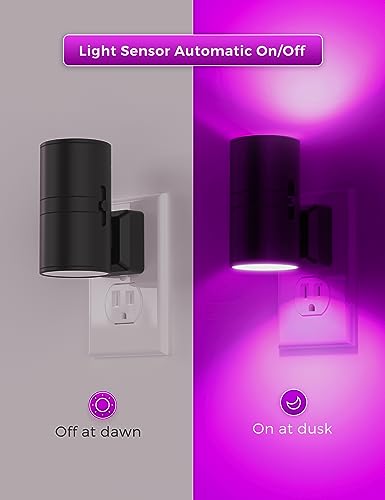 L LOHAS LED Purple Night Light, Purple Lights, Night Lights Plug into Wall - color: Purple, size: 2 Pack