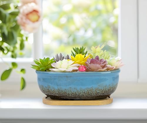 Succulent Pots, 1 Rectangle Planter + 1 Ceramic Bonsai Pots with Drain Tray - color: Blue