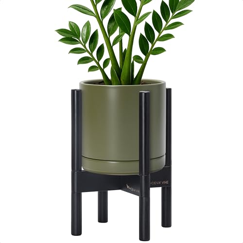 D'vine Dev Ceramic Pot with Ebony Wood Stand, Olive, 8 in, 55-B-M-J - color: Olive Pot + Ebony Stand, size: 8 Inch