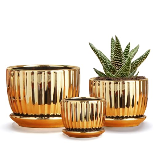 Plant Pots,Ceramic Flower Pots with Drainage Holes & Saucers Set of 3（Gold） - color: Gold