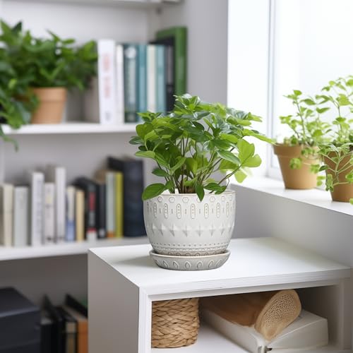 G EPGardening Ceramic Plant Pot - Succulent Pots with Drainage Hole and Saucer 5 Inch Planter for Indoor Plants Outdoor Decorative Round Flower Pot White - color: Columnar White