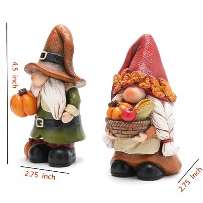 Hodao Fall Pumpkin Gnome Figurines, Thanksgiving Decorations, Set of 2 - color: Thanksgiving Gnomes-a