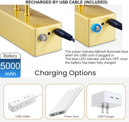Wireless Picture Light Rechargeable, 16", Brass - color: Brass, size: 16 inches
